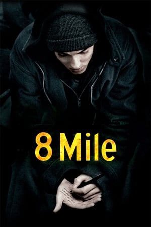 8 Mile 2002 Hindi Dual Audio Movie - 750MB