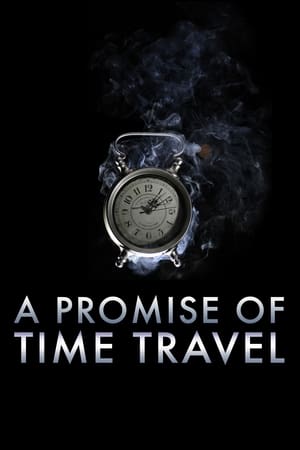 A Promise of Time Travel 2016 Hindi Dual Audio 300MB