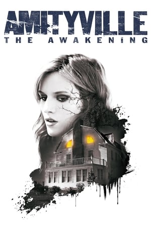 Amityville: The Awakening (2017) Hindi Dual Audio 300MB