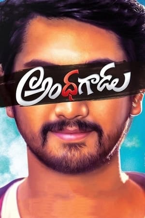 Andhhagadu 2017 Hindi Dual Audio 400MB