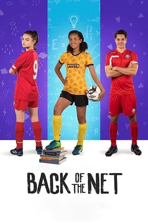 Back of the Net (2019) Hindi Dual Audio 300MB