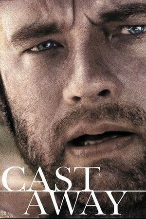 Cast Away 2000 Hindi Dual Audio [1GB] ESubs