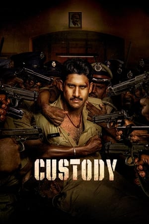 Custody 2023 Hindi (HQ-Dub) Dual Audio – 480p
