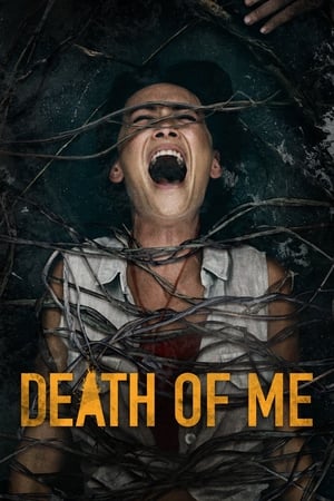 Death of Me (2020) Hindi Dual Audio [900MB]