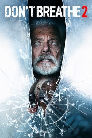 Don’t Breathe 2 (2021) Hindi Dual Audio [900MB]