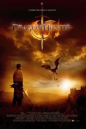 Dragon Hunter (2009) Hindi Dual Audio 300MB