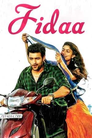 Fidaa 2017 [Hindi - Telugu] Dual Audio [1.2GB]