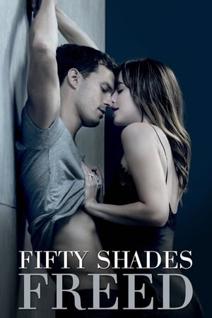 Fifty Shades Freed (2018) Hindi Dual Audio 400MB