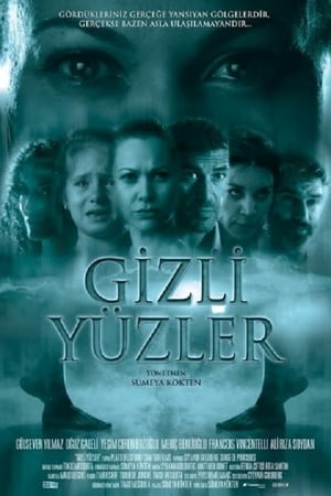 Gizli Yüzler (2014) Hindi Dual Audio [840MB]