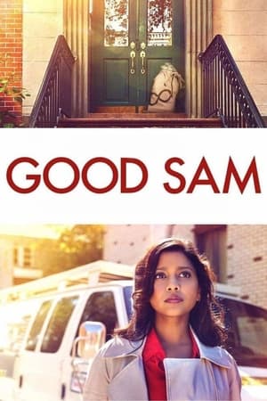 Good Sam 2019 Hindi Dual Audio 300MB