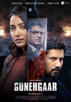 Gunehgaar (2023) Hindi | 480p