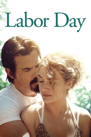 Labor Day (2013) Hindi Dual Audio – 480p