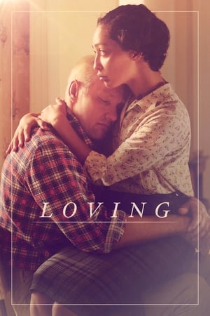 Loving (2016) Hindi Dual Audio 420MB