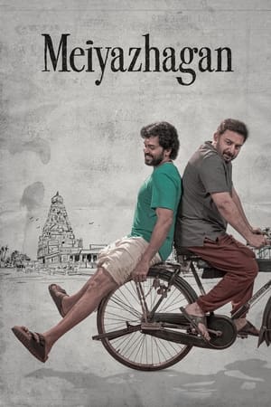 Meiyazhagan 2024 Hindi Dual Audio – 720p – 480p