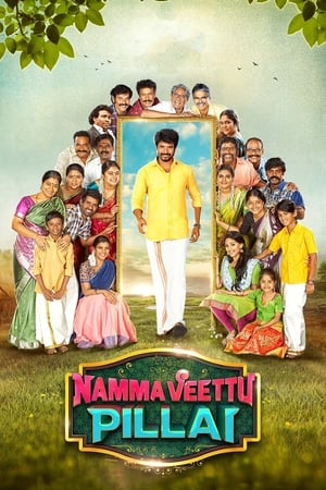 Namma Veettu Pillai (2019) (Hindi -Tamil) Dual Audio [1.4GB]