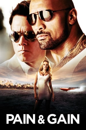 Pain & Gain 2013 Movie 100MB Buray Hindi Dual Audio