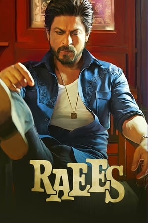 Raees (2017) 400MB Full Movie Download