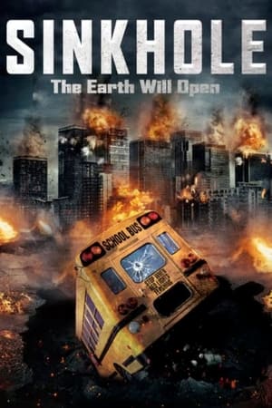 Sink Hole 2013 Hindi Dual Audio 300MB