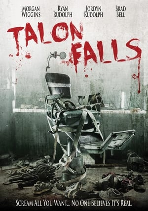 Talon Falls (2017) Hindi Dual Audio 300MB