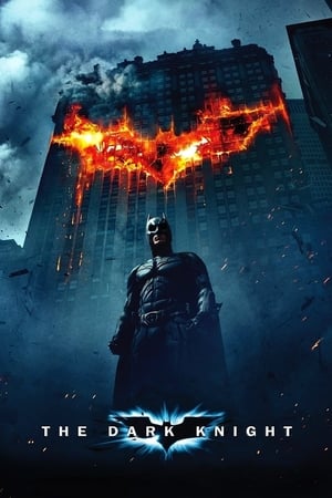 The Dark Knight (2008) Hindi Dual Audio [1.0GB] Download