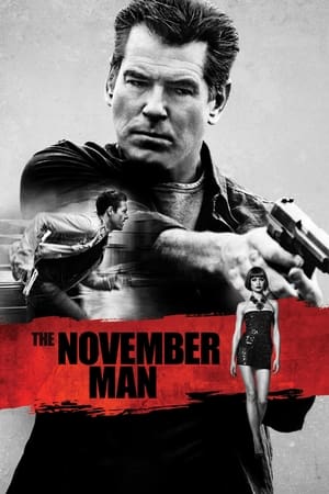 The November Man 2014 Dual Audio [Hindi - English] 350MB