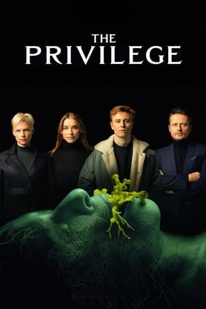 The Privilege (2022) Hindi Dual Audio – 480p