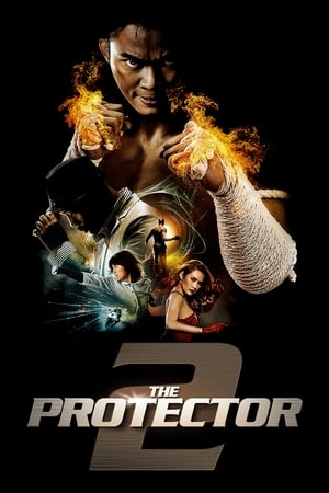 The Protector 2 (2013) 100mb Hindi Dual Audio movie Download