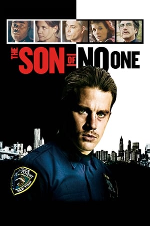 The Son of No One (2011) Hindi Dual Audio [900MB]
