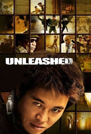 Unleashed (2005) Hindi Dual Audio [1.1GB]