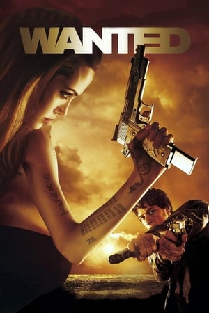 Wanted 2008 Hindi Dual Audio [860MB]