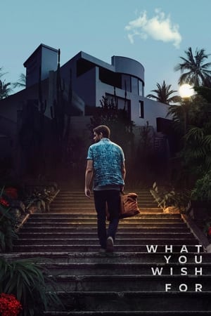 What You Wish For 2023 Dual Audio Hindi – 480p – 1080p