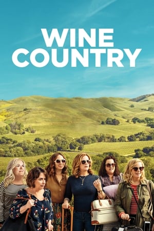 Wine Country (2019) Hindi Dual Audio 350MB