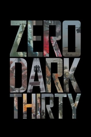 Zero Dark Thirty 2012 Hindi Dual Audio [1.2GB]